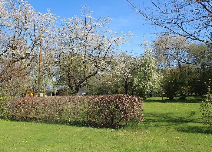 Hardthof - Lejlighed *