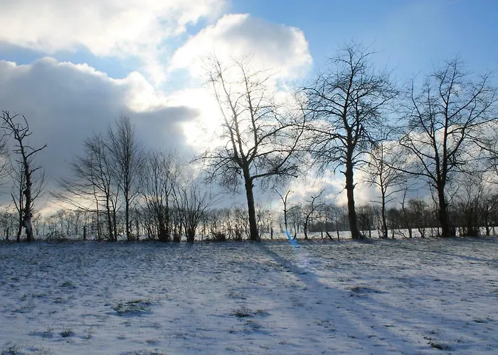 Lejlighed Hardthof -